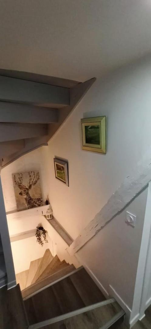 Chez Soline - Le Duplex Climatise Amboise Exterior foto